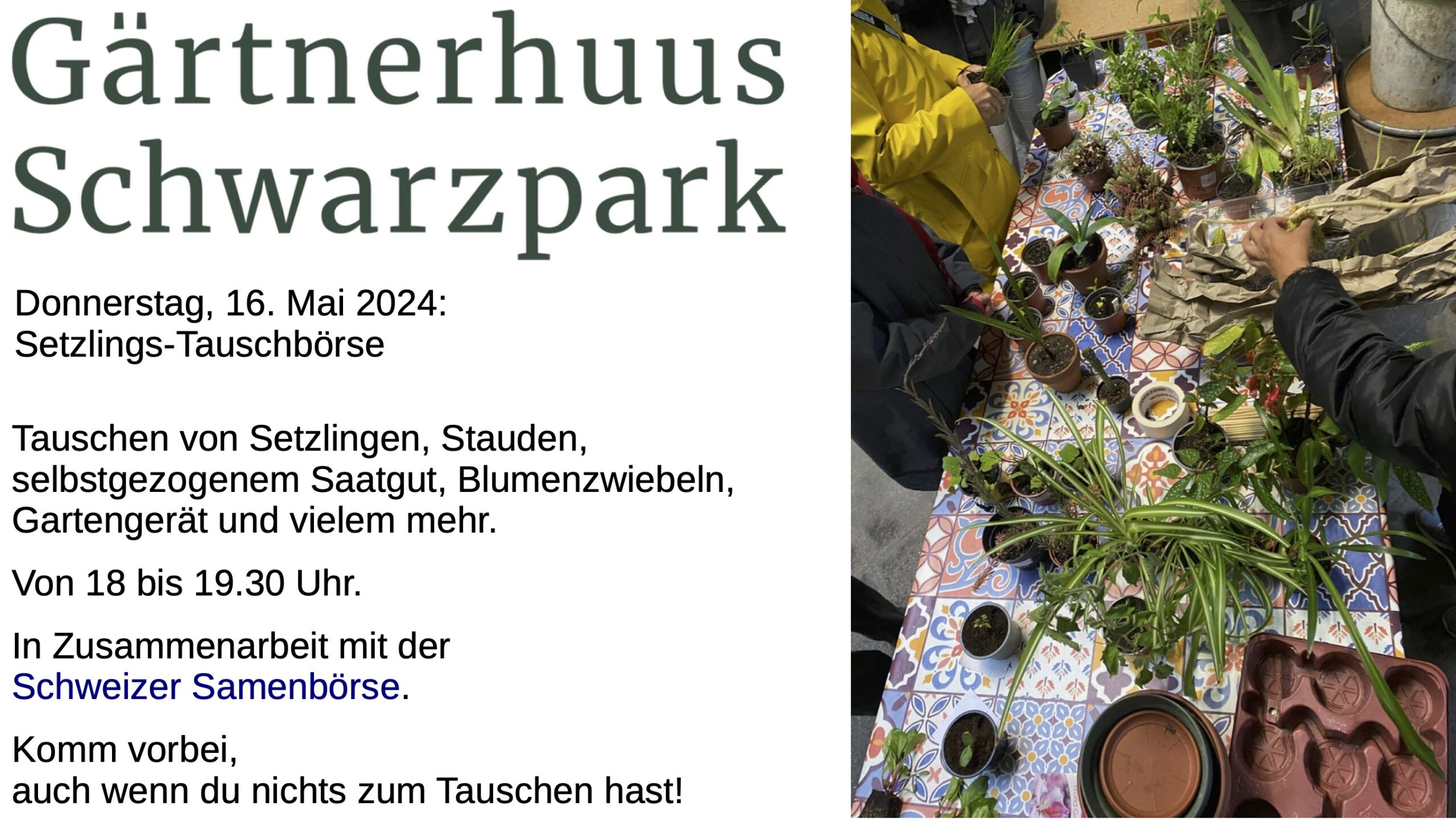 Setzlingstauschbörse, 16. Mai, 18-19.30h